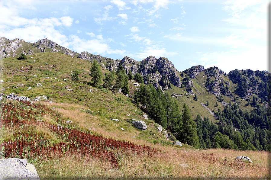 foto Malga Ritorto